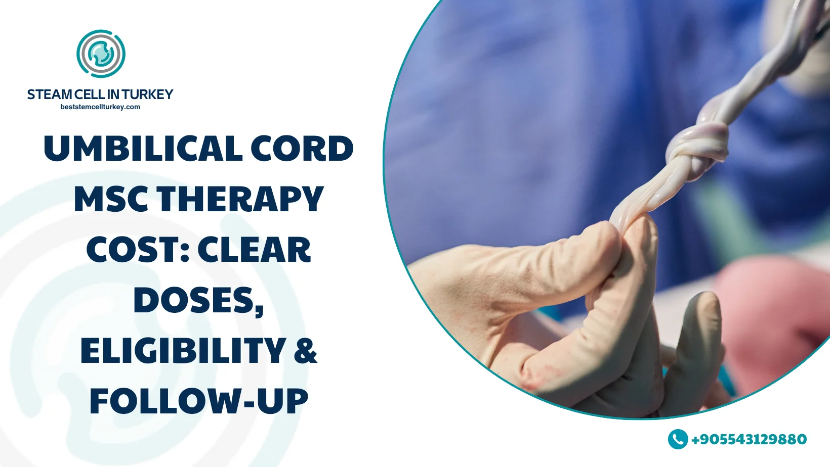 Umbilical Cord MSC Therapy Cost