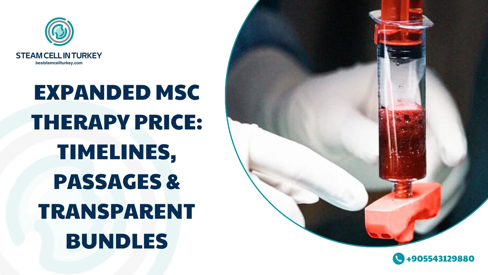 Expanded MSC Therapy Price