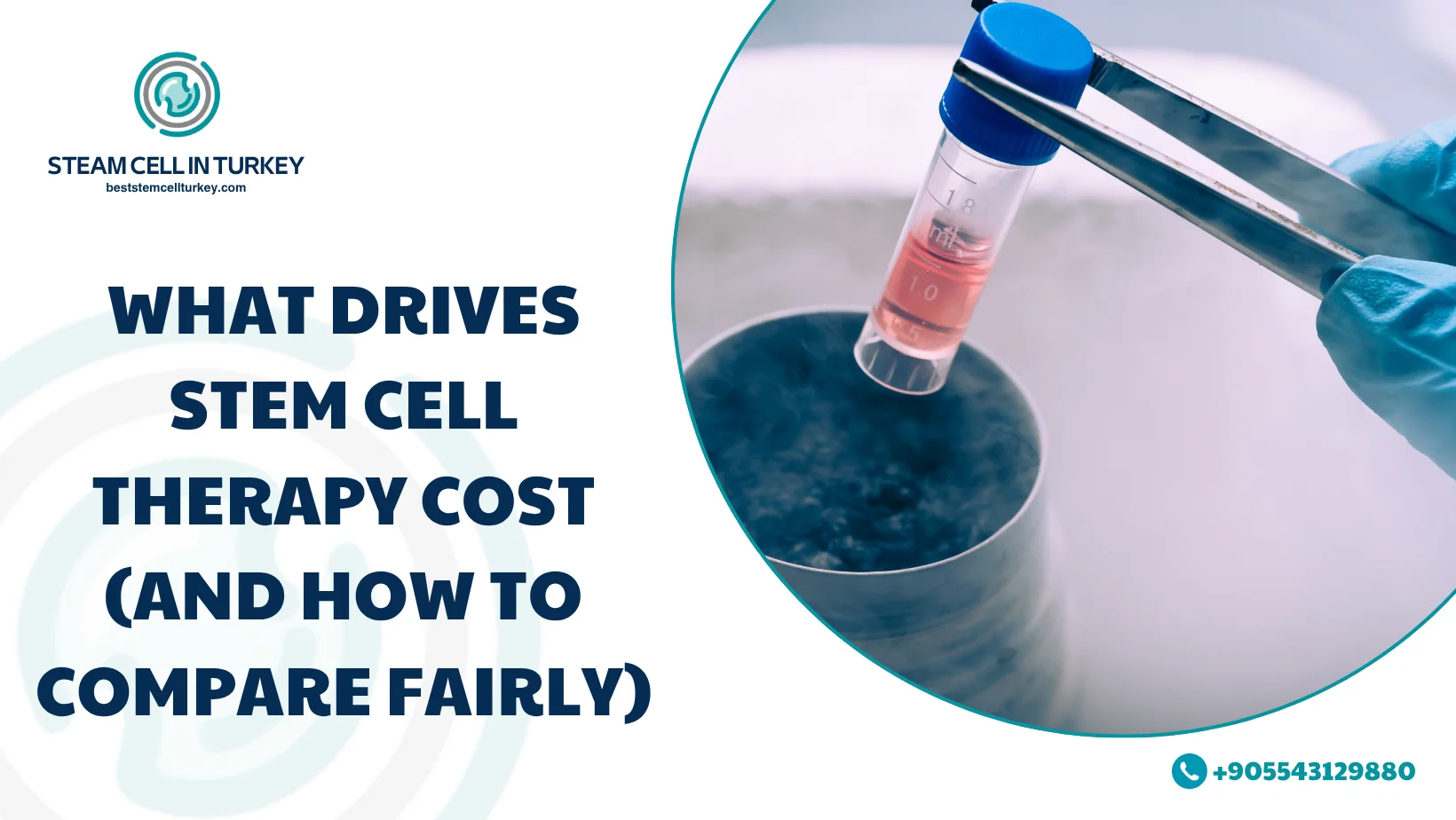 Stem Cell Therapy Cost