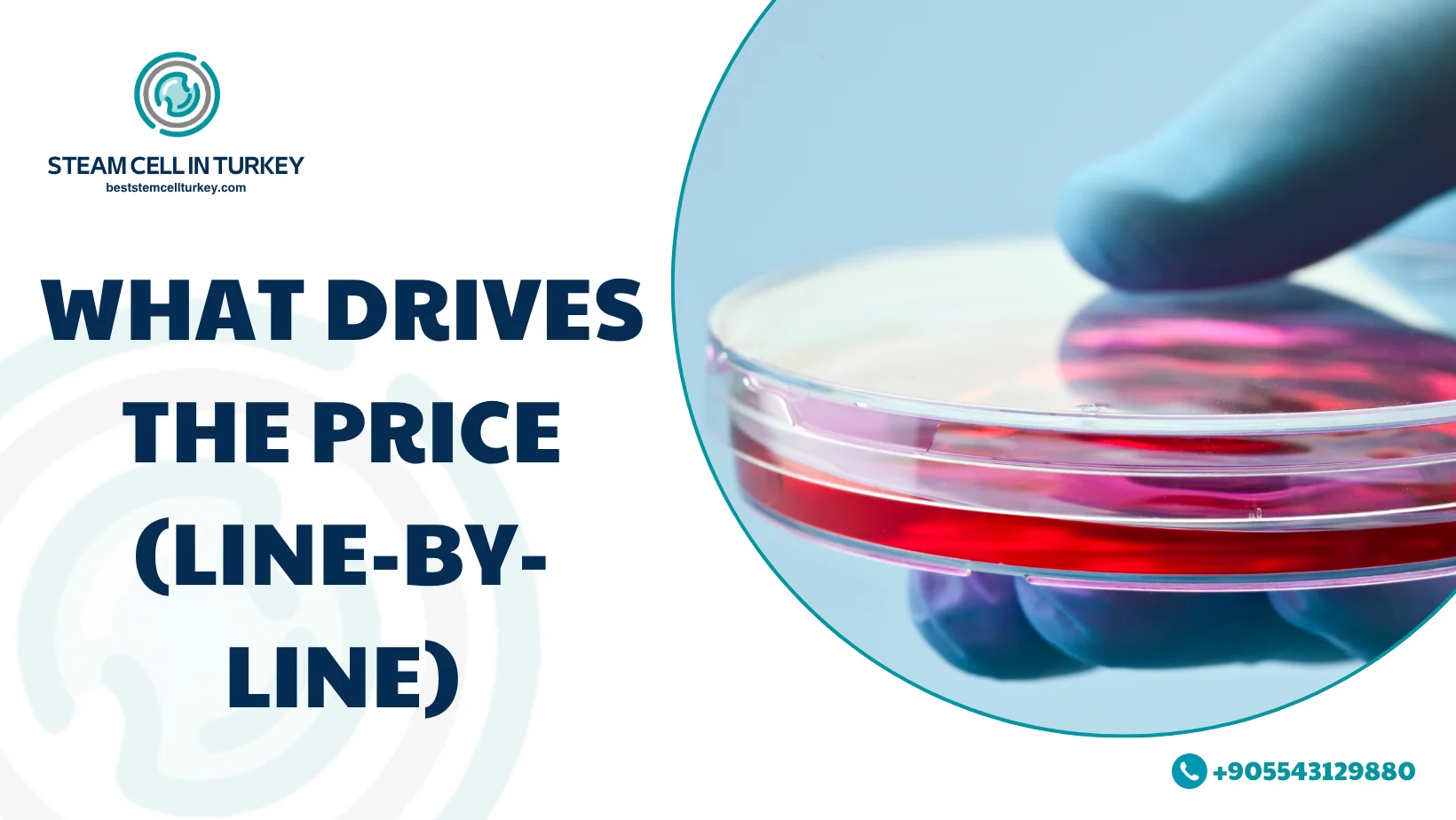 Stroke Stem Cell Therapy Cost