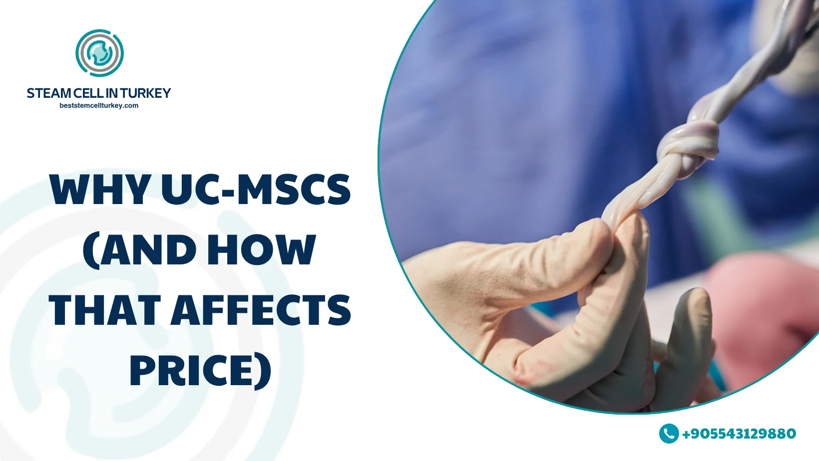 Umbilical Cord MSC Therapy Cost