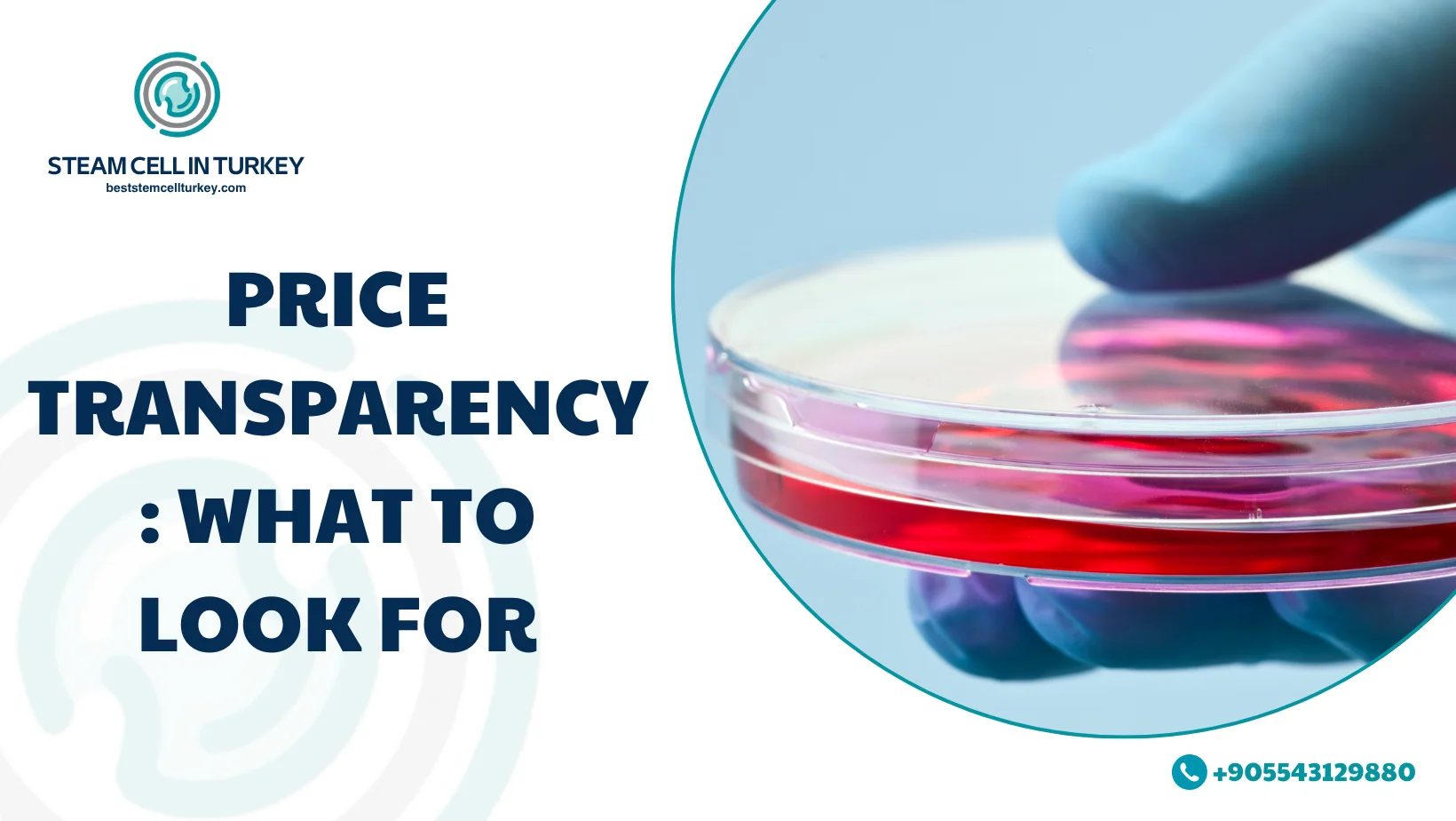 Stroke Stem Cell Therapy Cost