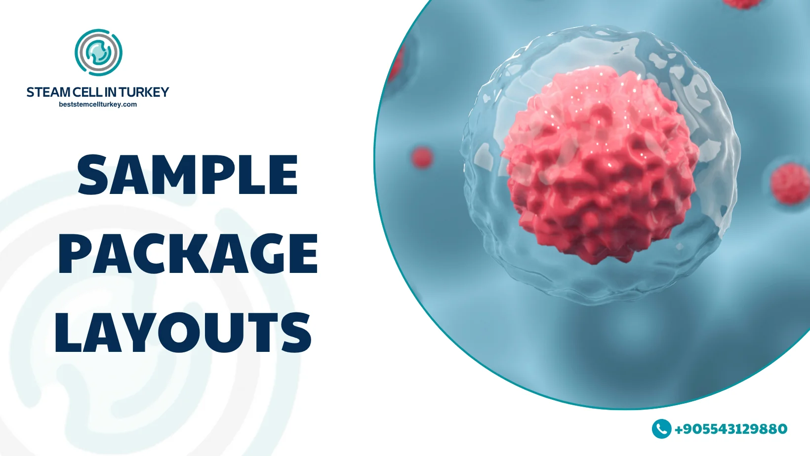 Autism Stem Cell Therapy Cost