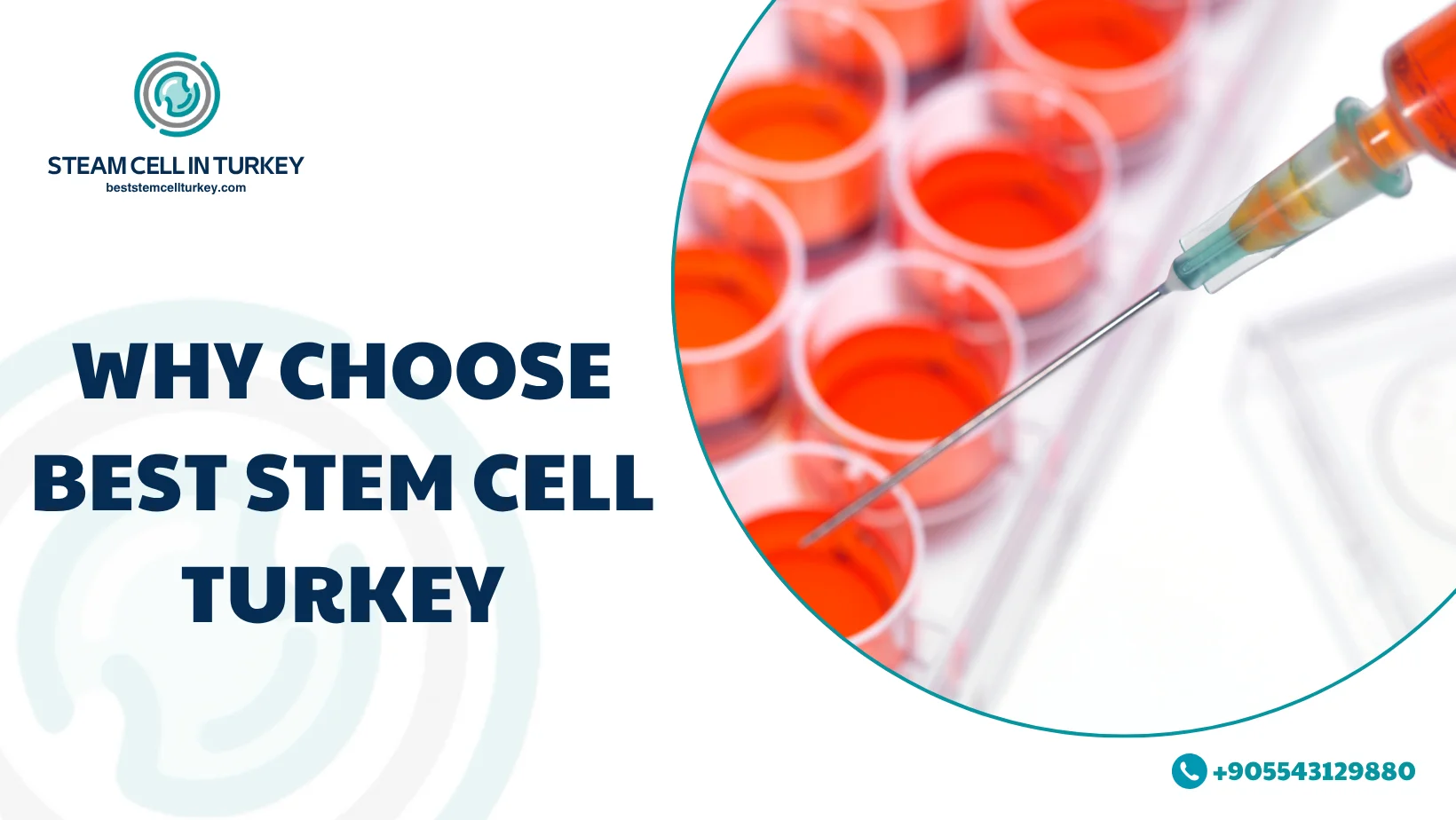 Book Stem Cell Consultation Online