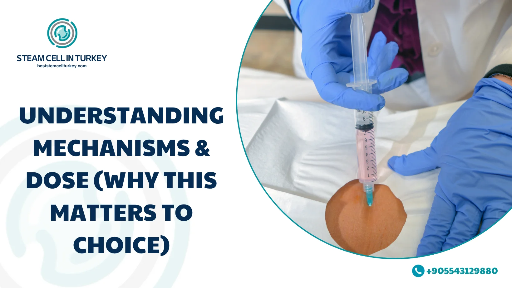 Best Stem Cell Clinic Worldwide