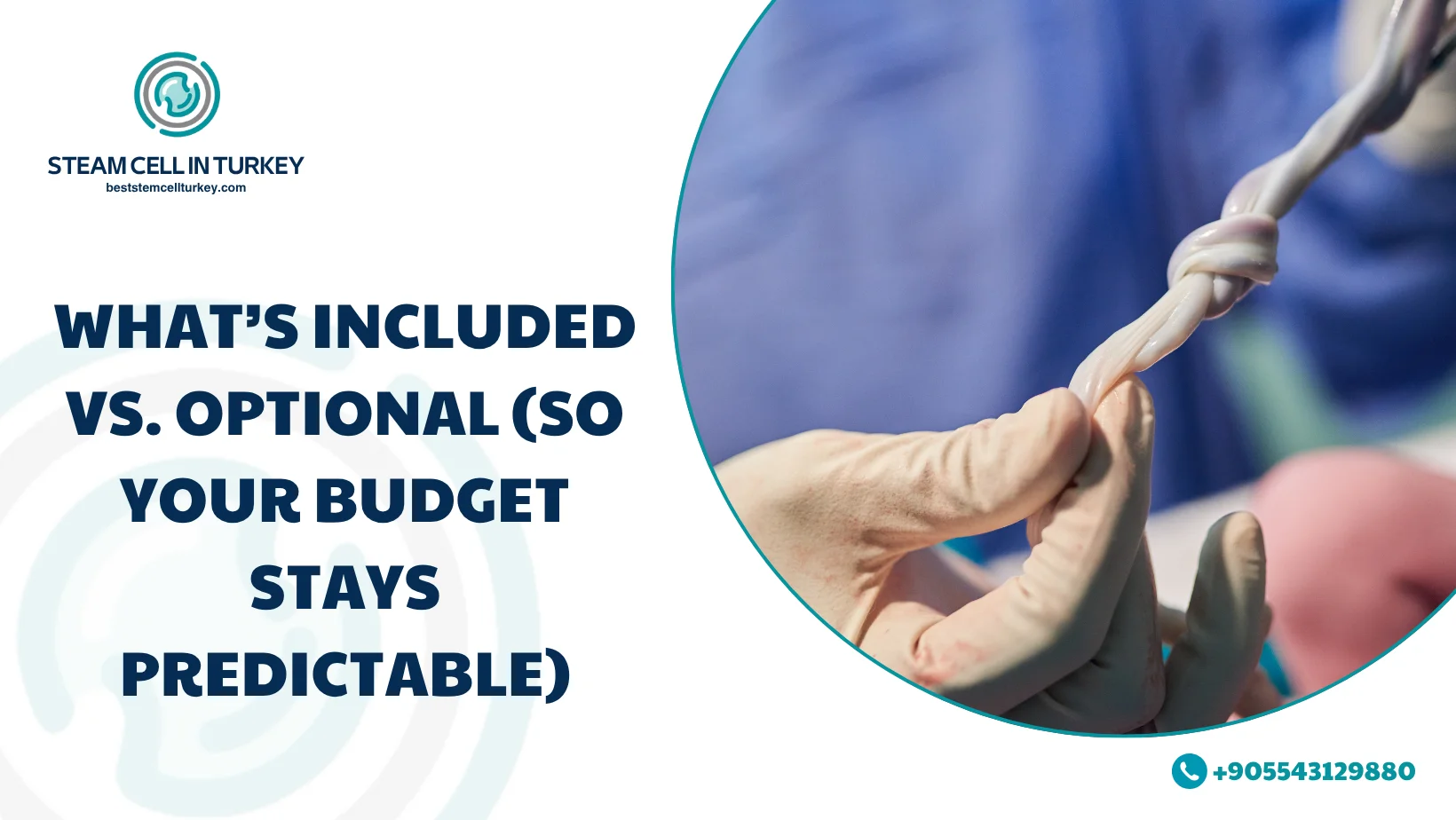 Umbilical Cord MSC Therapy Cost