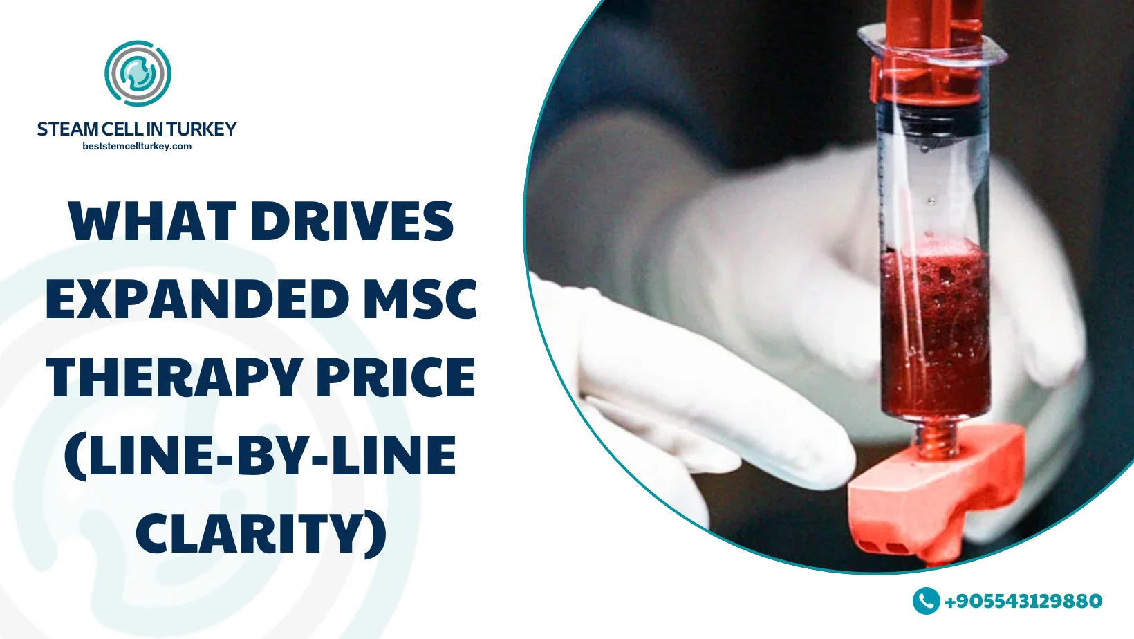 Expanded MSC Therapy Price