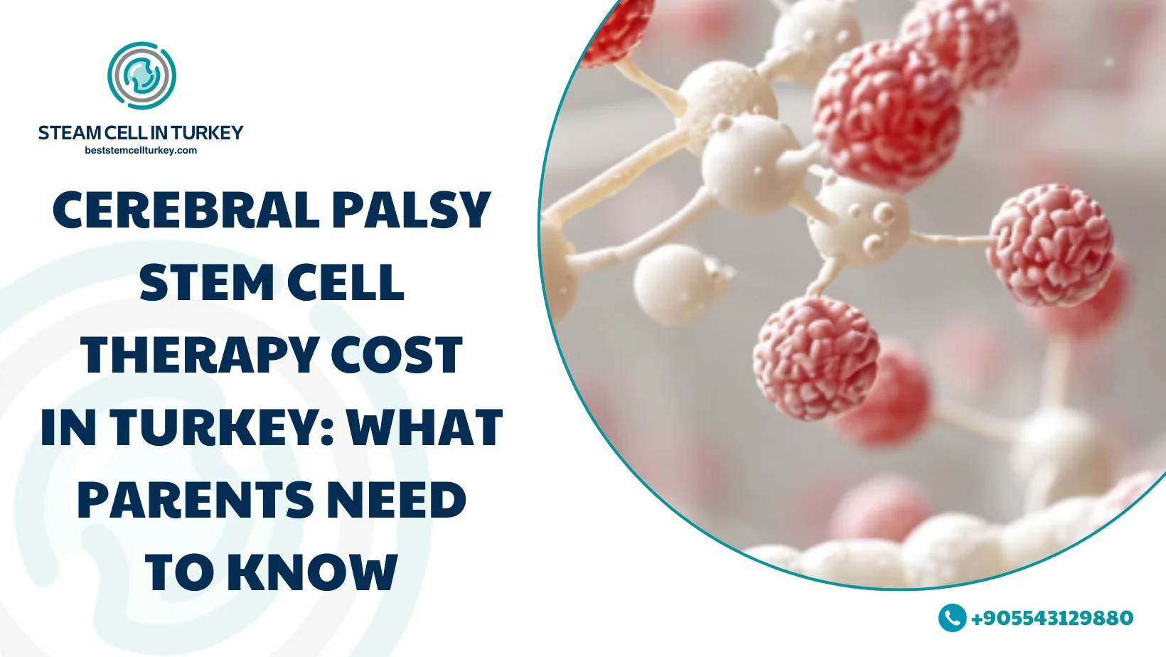 Cerebral Palsy Stem Cell Therapy Cost