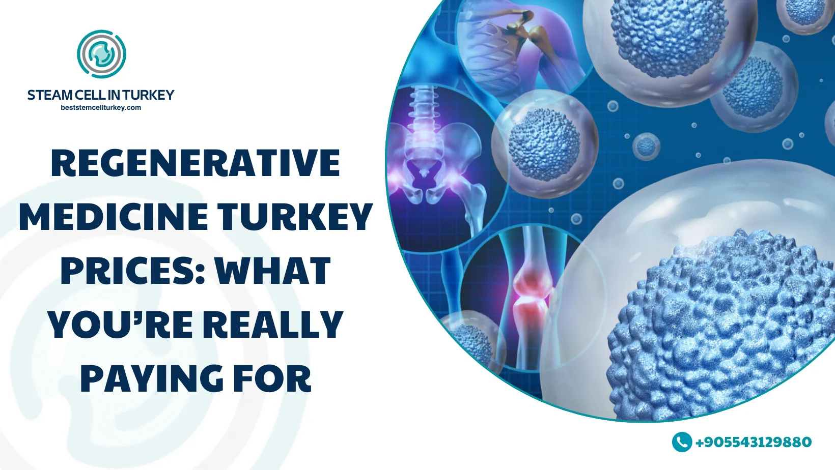 Regenerative Medicine Turkey Prices