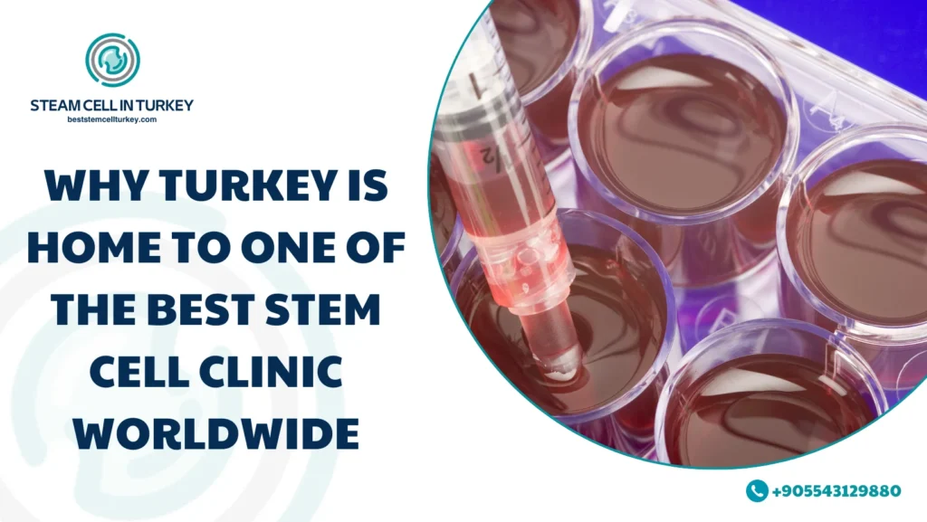 best stem cell clinic worldwide