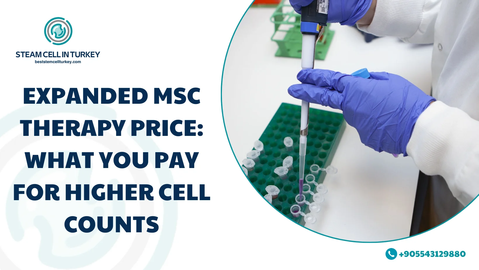 expanded MSC therapy price