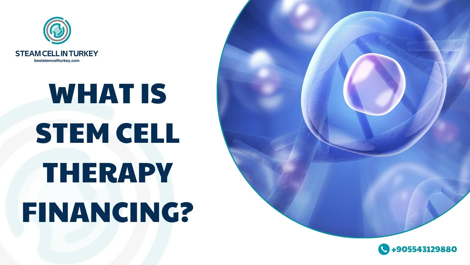 Stem Cell Therapy Financing