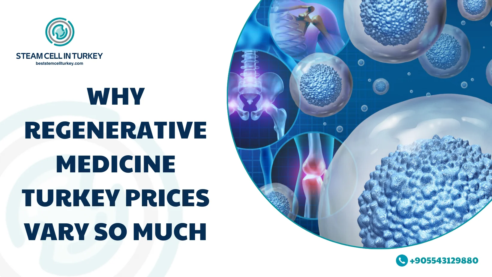 Regenerative Medicine Turkey Prices