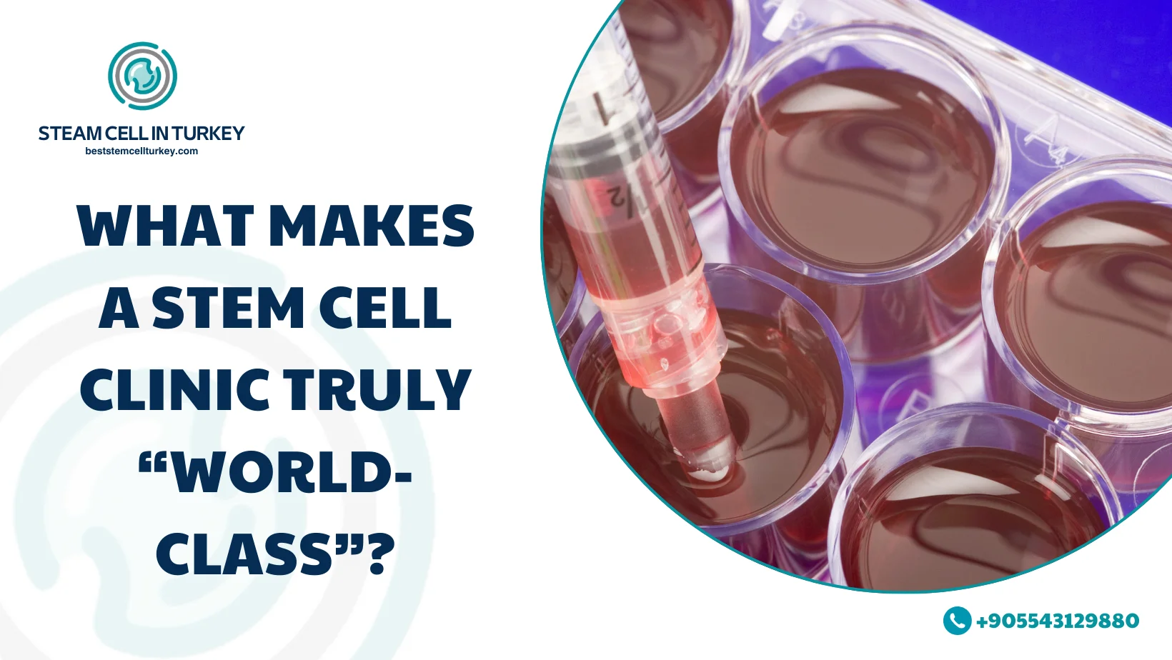 best stem cell clinic worldwide