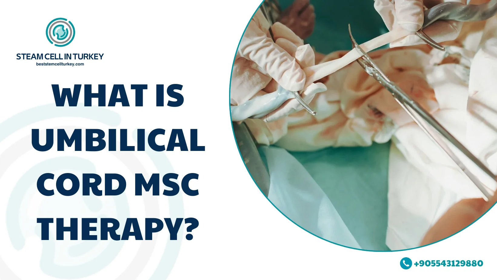 umbilical cord MSC therapy cost