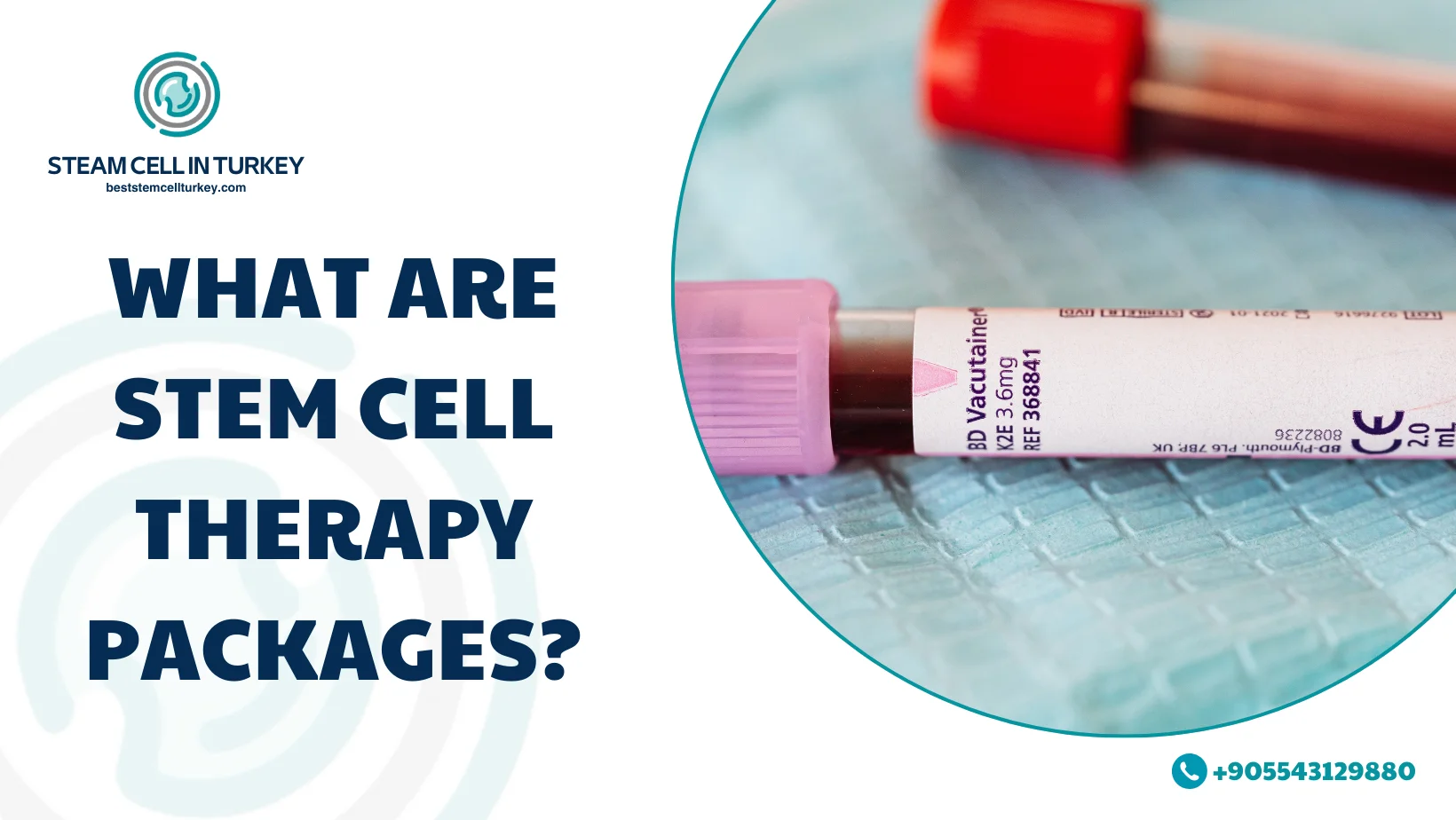 Stem Cell Therapy Packages