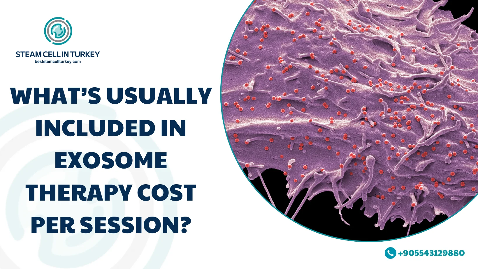 Exosome Therapy Cost per Session