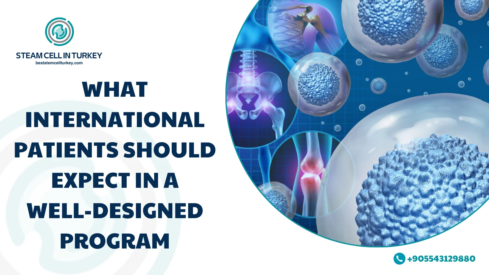 Regenerative Medicine Turkey Prices