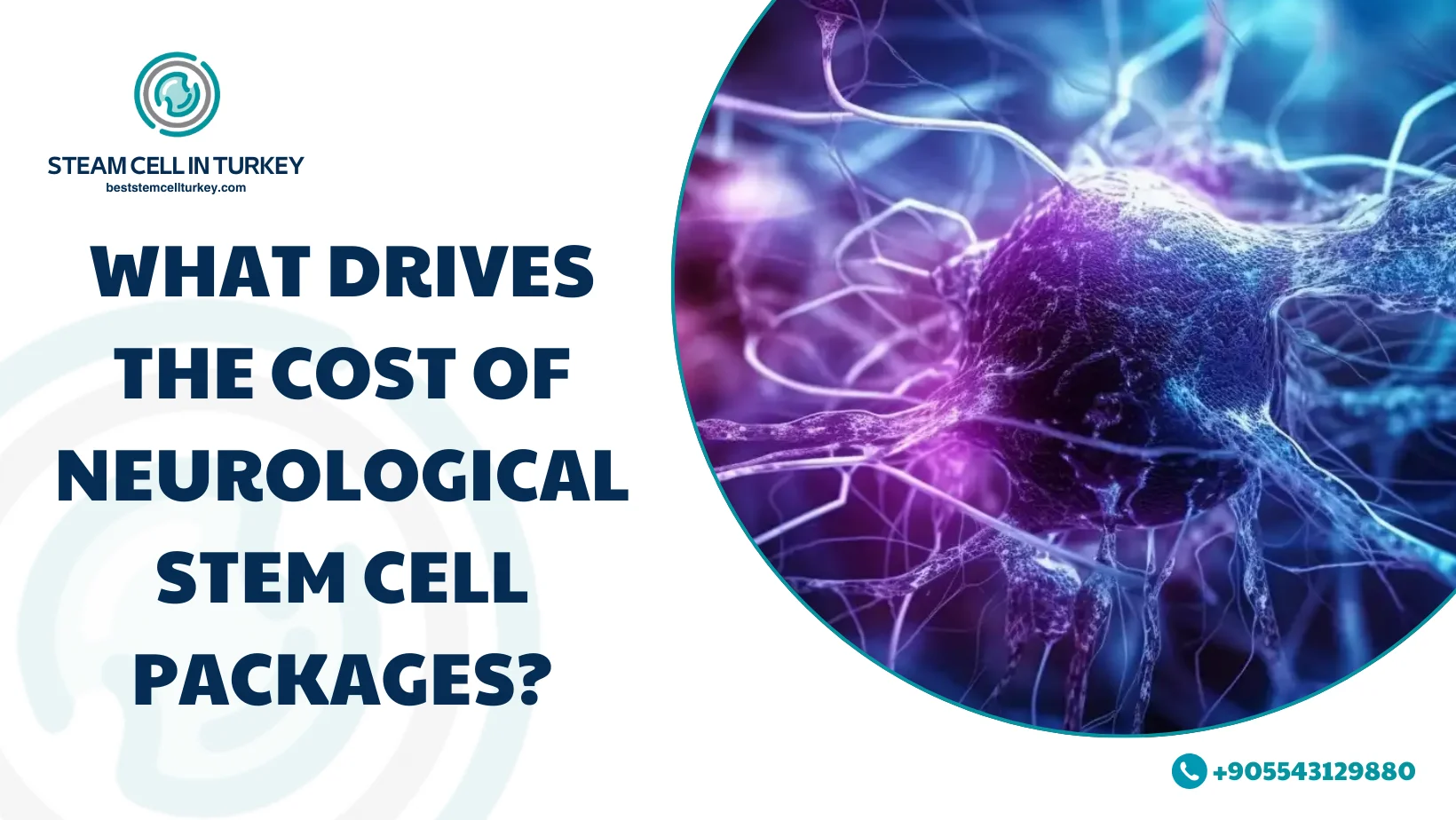 Neurological Stem Cell Treatment Packages Turkey