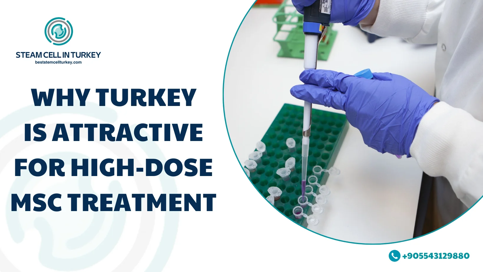 expanded MSC therapy price