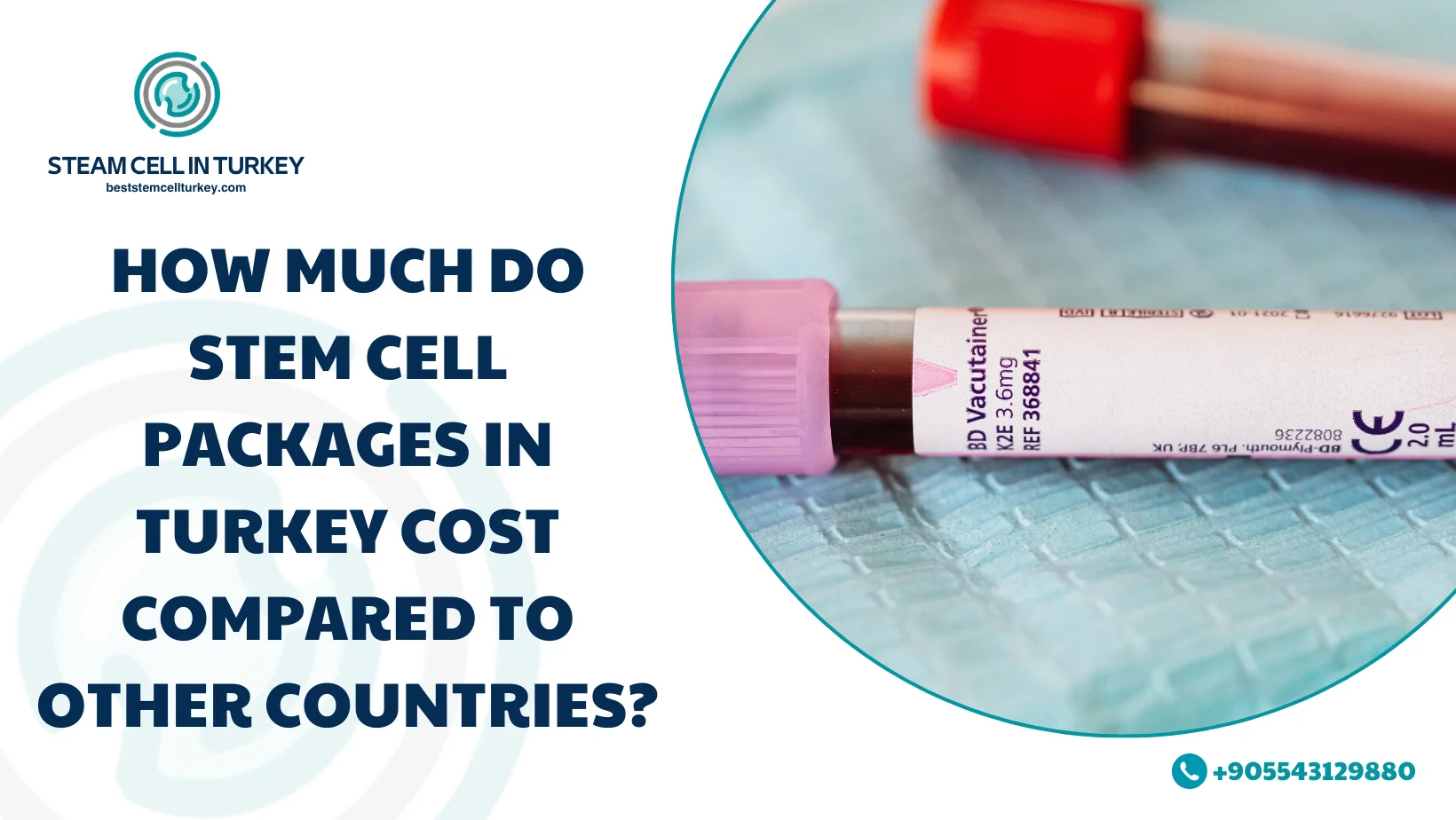 Stem Cell Therapy Packages