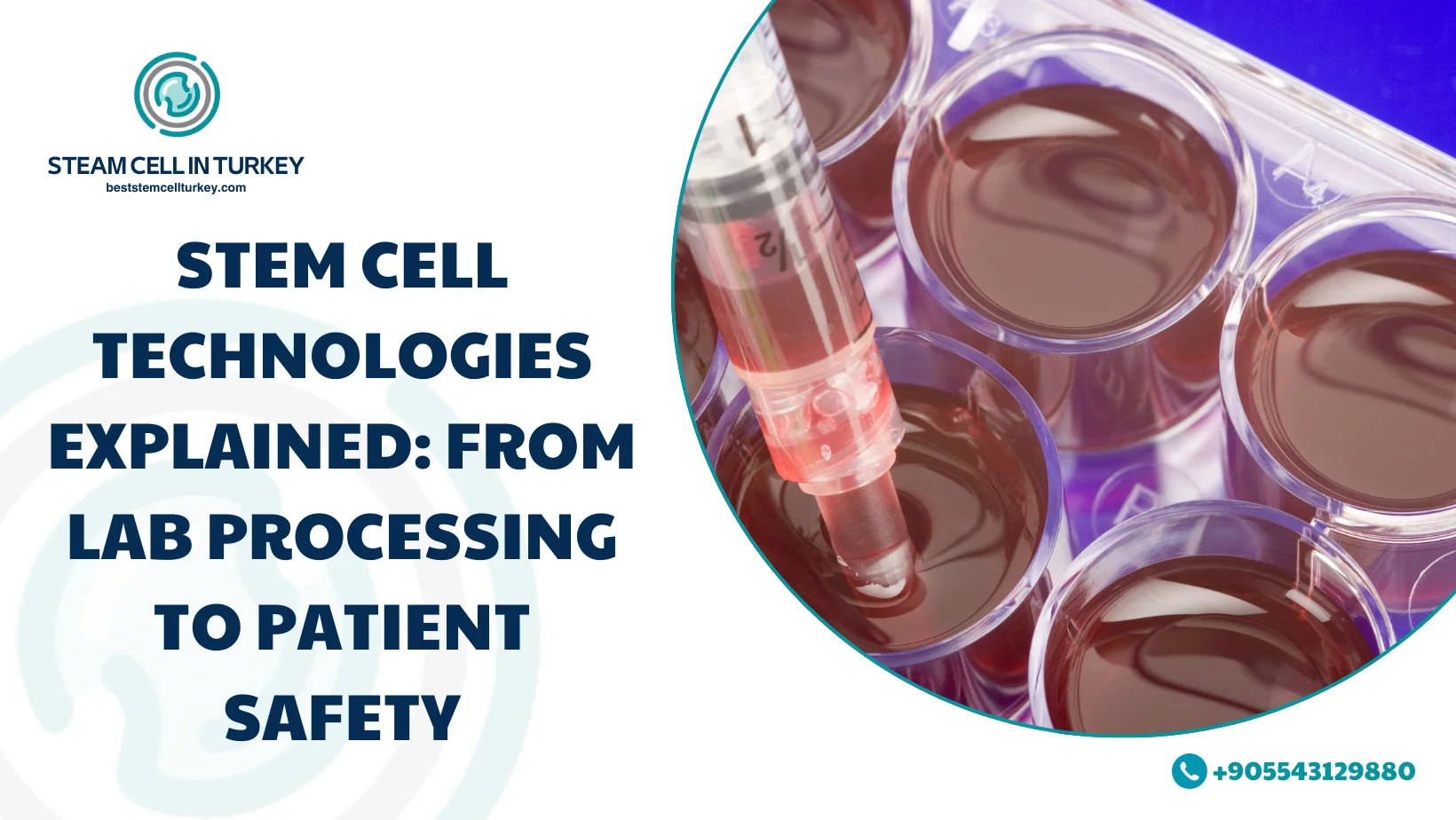 Stem Cell Technologies