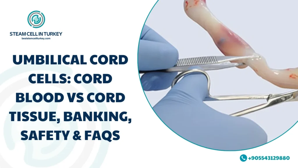 Umbilical cord cells