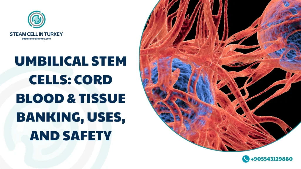 Umbilical stem cells