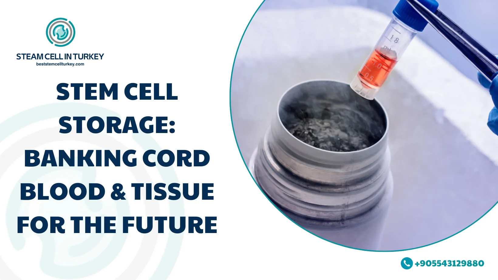 Stem Cell Storage
