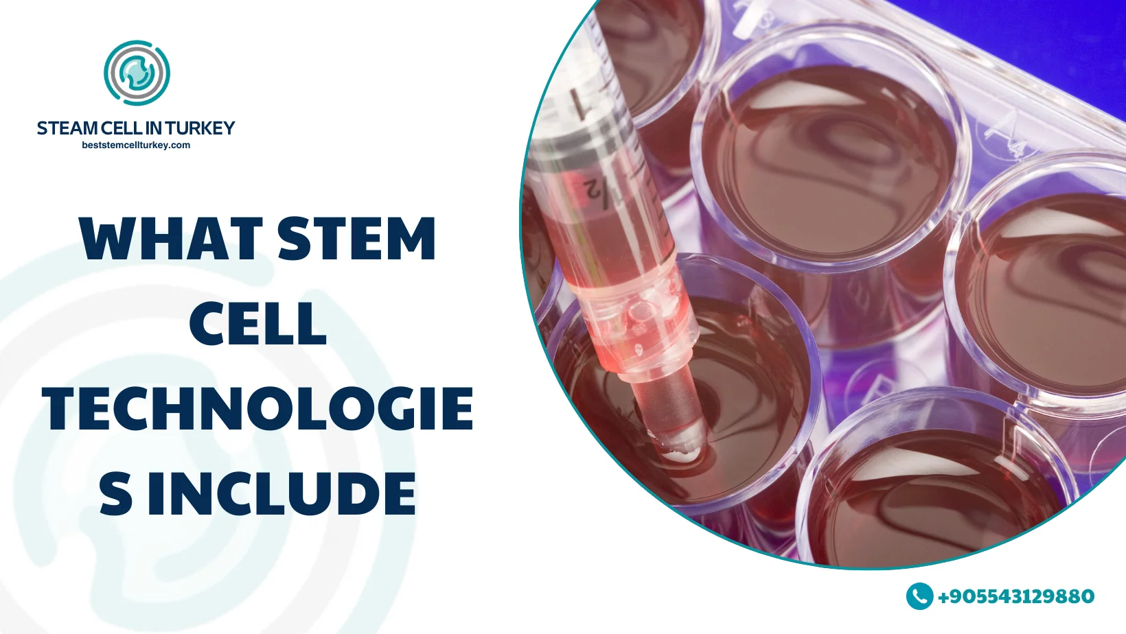 Stem Cell Technologies