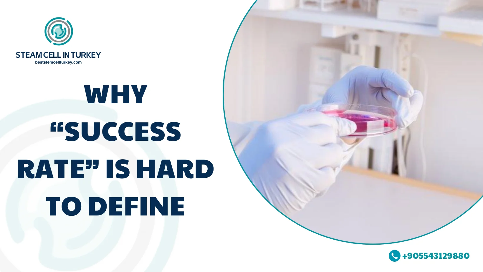 Stem Cell Therapy Autism Success Rate