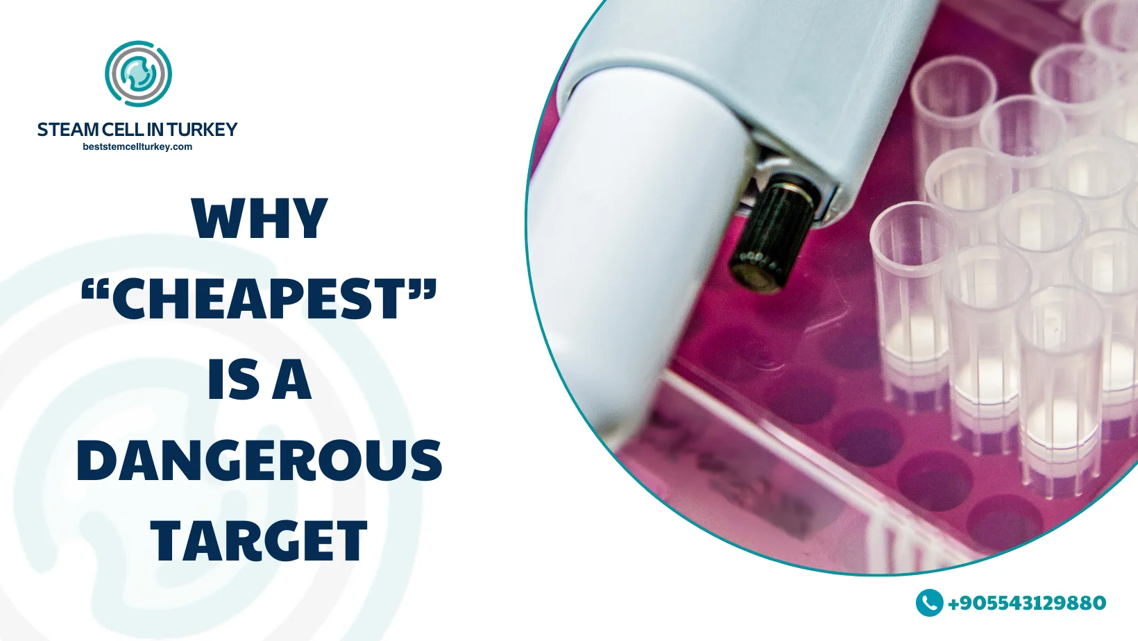 Cheapest Stem Cell Therapy in the World