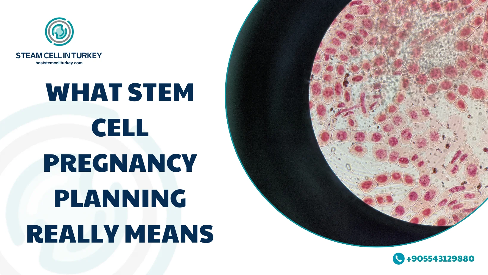 Stem Cell Pregnancy