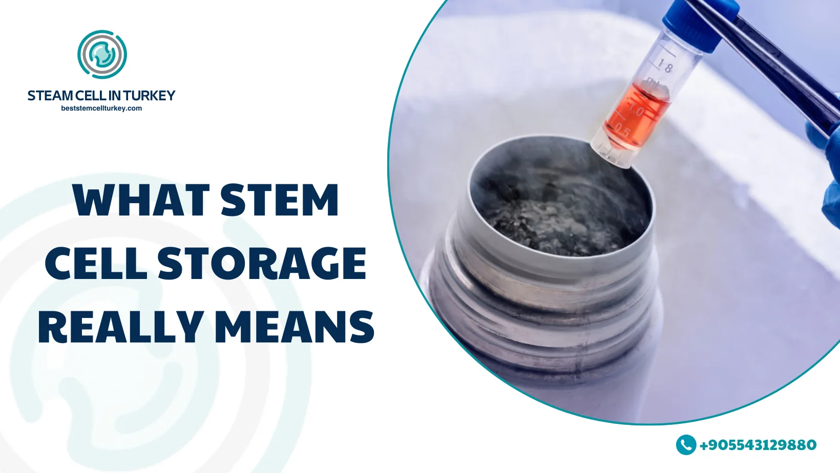 Stem Cell Storage