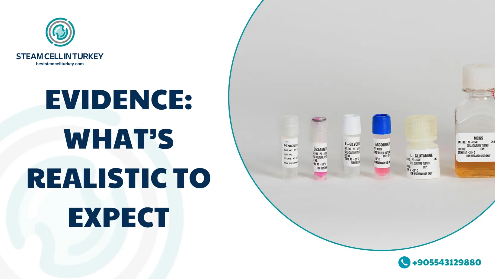 Human Mesenchymal Stem Cells