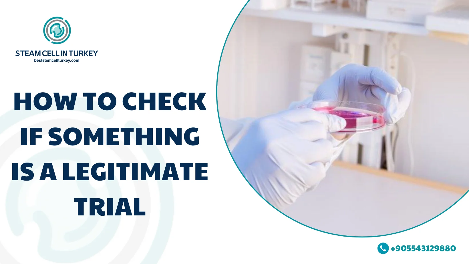 Stem Cell Therapy Autism Success Rate